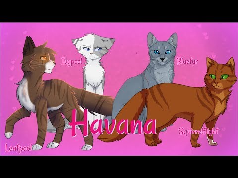 How to Draw Bluestar from Warrior Cats - DrawingNow