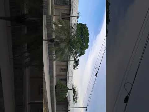 Melchor de Mencos peten