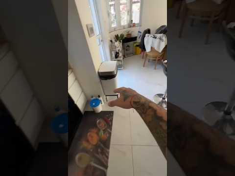 Niki is the most celebrity chihuahua in the world🐊🐕🐕