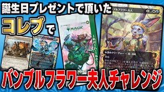 【MTG開封】誕生日プレゼントで頂いた「ブルームバロウ」コレクターブースターでバンブルフラワー夫人チャレンジ！！【ブルームバロウ】