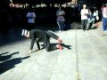 YAK Breakdance