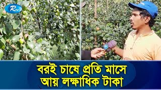 কৃষক আওলাদ হোসেন ফকির বরই চাষ করেই খুলেছে ভাগ্যর চাকা