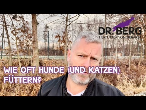 Wie oft Hunde (und Katzen) füttern? | Tierarzt Dr. Gregor Berg