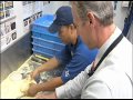 SNN6 FAST PIZZA GUY