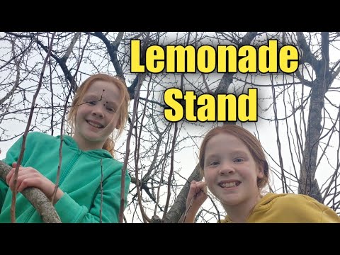 Lemonade Stand