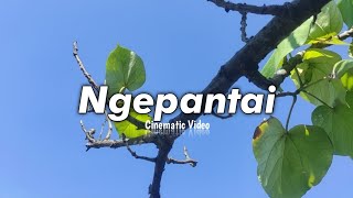 Download lagu Ngepantai || Cinematic video viral tiktok || Story wa 30 detik mp3
