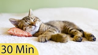 30 Minute Relaxing Sleep Music, Calm Music, Soft Music, Instrumental Music, Sleep Meditation, ☯2479B