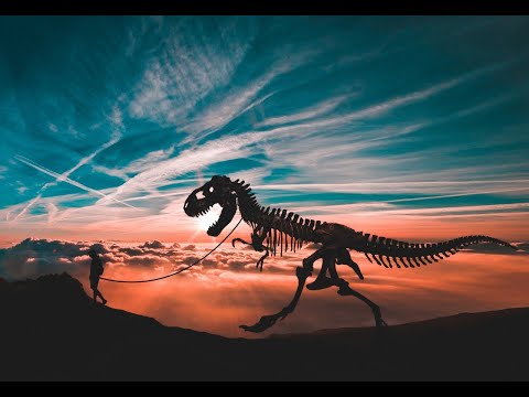 BoomerRexTonight e0215 -Burn it Down Wednesday-