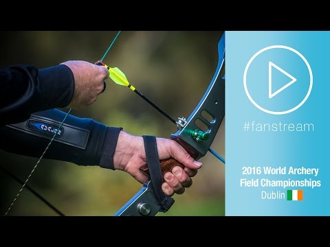 Michael Fisher v Martin Ottosson – barebow men bronze | Dublin 2016 World Field