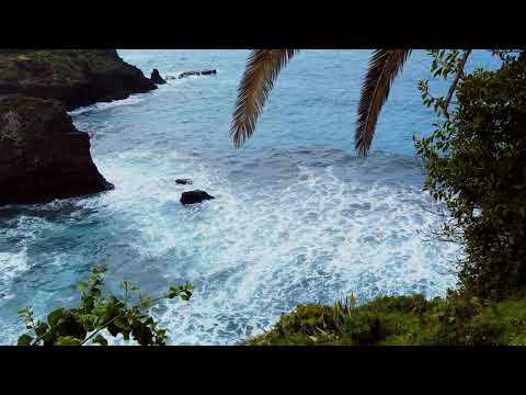 dee jay RUFUS - Back to Mallorca