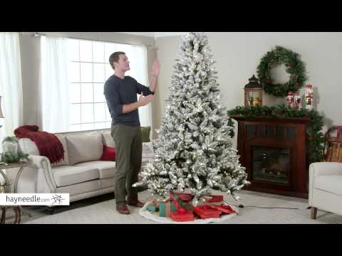 download lagu mp3 mp4 Flocked Christmas Trees Salem Oregon, download lagu Flocked Christmas Trees Salem Oregon gratis, unduh video klip Flocked Christmas Trees Salem Oregon