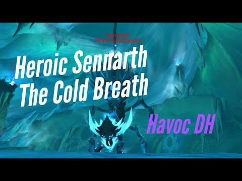 Vigil vs Heroic Sennarth, the Cold Breath - Havoc DH PoV