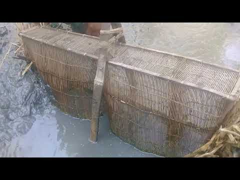 Amazing Fastest Giant Bluefin Tuna Fishing Skill - Most Satisfying Sea Fishing Video