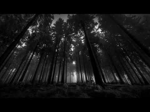 goreshit - burn this moment into the retina of my eye (with osu hitsound)