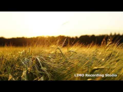 Dustin Miles - I Found Love (feat. Brenton Mattheus) [1 HOUR VERSION]