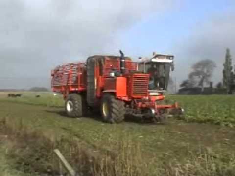 Van Bruwaene RWK.: Bieten rooien.