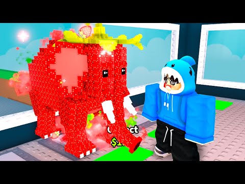 PEGUEI O STRAWBETTY ELEPHANT COM SORTE MÁXIMA NO ROUBE UM BRAINROT