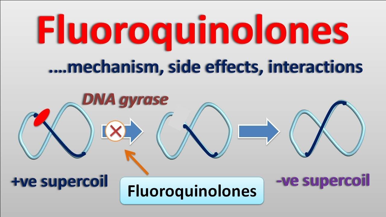 Fluoroquinolones || PART-2 || Mechanism, side effects and interactions