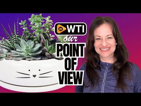 Koolkatkoo 8 Inch Large Cute Cat Ceramic Succulent Planter Pots with Removable Saucer Unique Porcelain Cactus Planters Decorative Flower Pot for Cat Lovers White Black Whisker - WTI product video review
