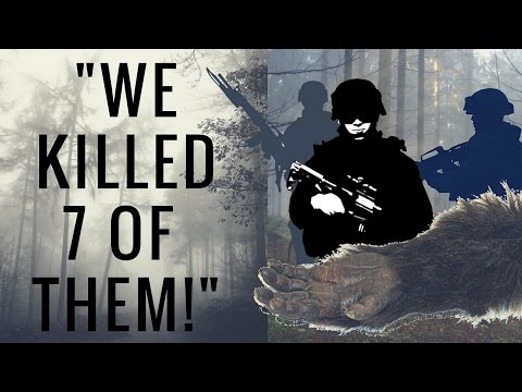 U.S. Special Forces Hunts A Family Of Bigfoot! (Cover-up?) - True Testimony!