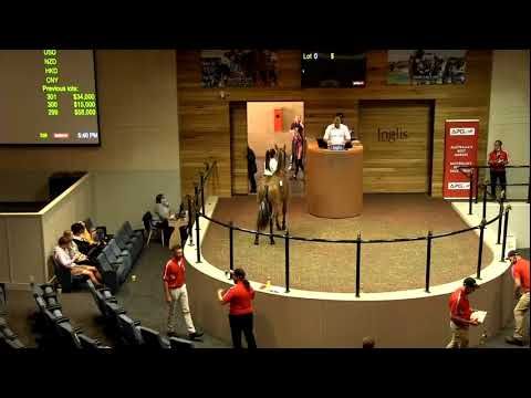 2021 Yearling Sales - Melbourne