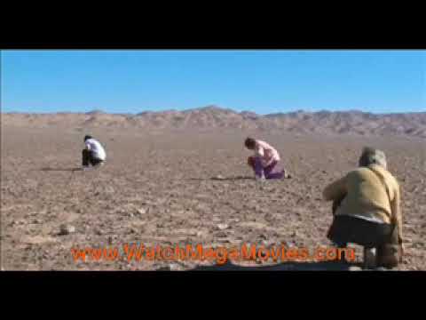 Nostalgia for the Light 2011