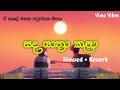 Sanda Yathra Kala සද යාත්‍රා කළා Slowed And Reverb Song Chandana Liyanaarach