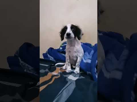 A Luz María le encanta el agua  #shorts