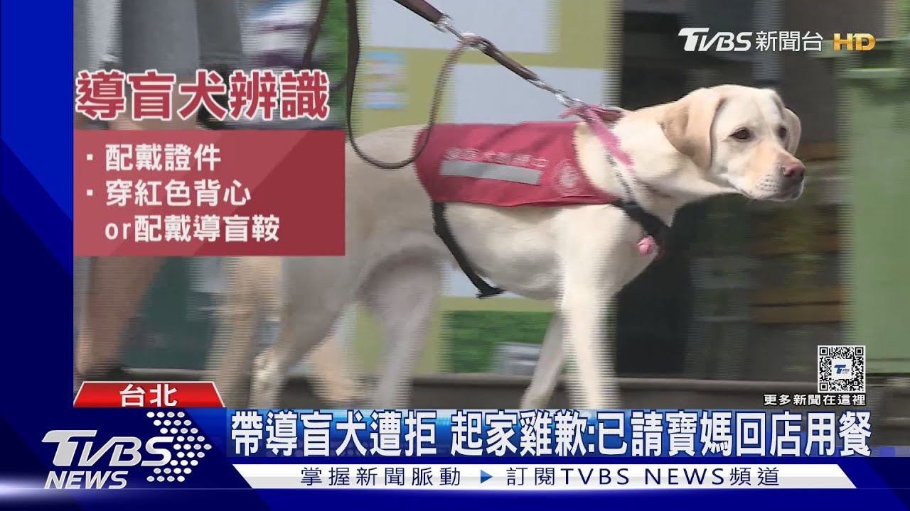 帶導盲犬到「起家雞」竟遭拒 店員稱:寵物不可