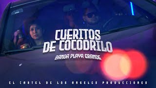 Banda Playa Grande - Cueritos de Cocodrilo (Video oficial)