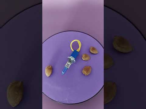 Chinese OEM supplier,the best h1 bulb,best h1 bulb upgrade,what cars use h1 headlight bulb,