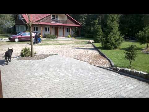 Indian 101 Scout 1929