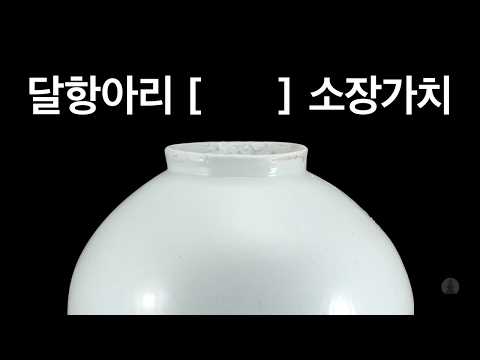 달이 떠오른 순간 | 다보성 특집