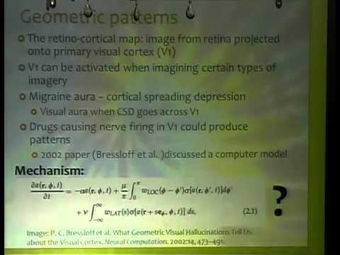 Brain Chemistry How Psychoactive Chemicals Hack The CNS