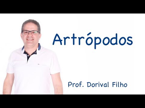 Artrópodos