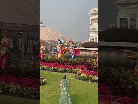 Vrindavan ♥️🦚. #krishna #radharani #support #trendingshorts