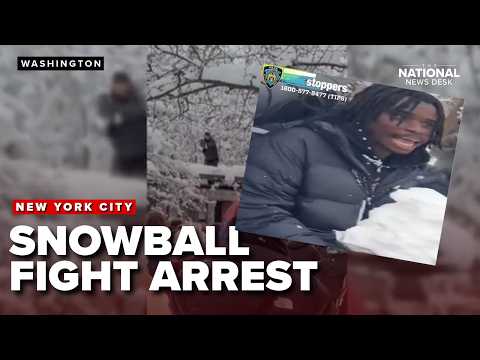 ARREST made after New York City Police pelted with snowballs