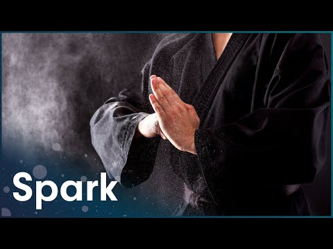 What Is The Best Form Of Self Defence According To Science?
