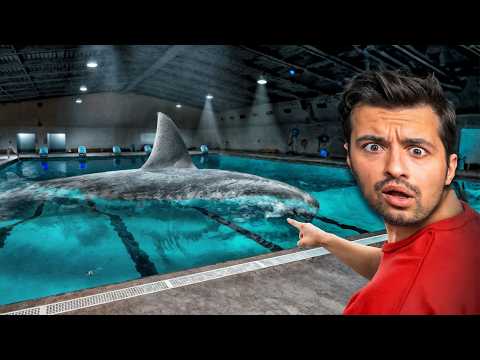 Υπάρχει ενας ΜΕΓΑΛΟΔΟΝΤΑΣ στην ΠΙΣΙΝΑ μου!