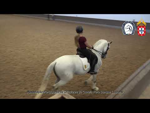 230417 10 Proj Ensino APSL&FEP - Raquel Branco com Nobre da Caniceira