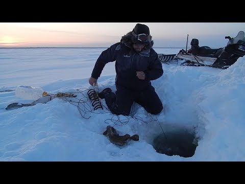 Фото Зимняя рыбалка.Перемёты реанимированы)))