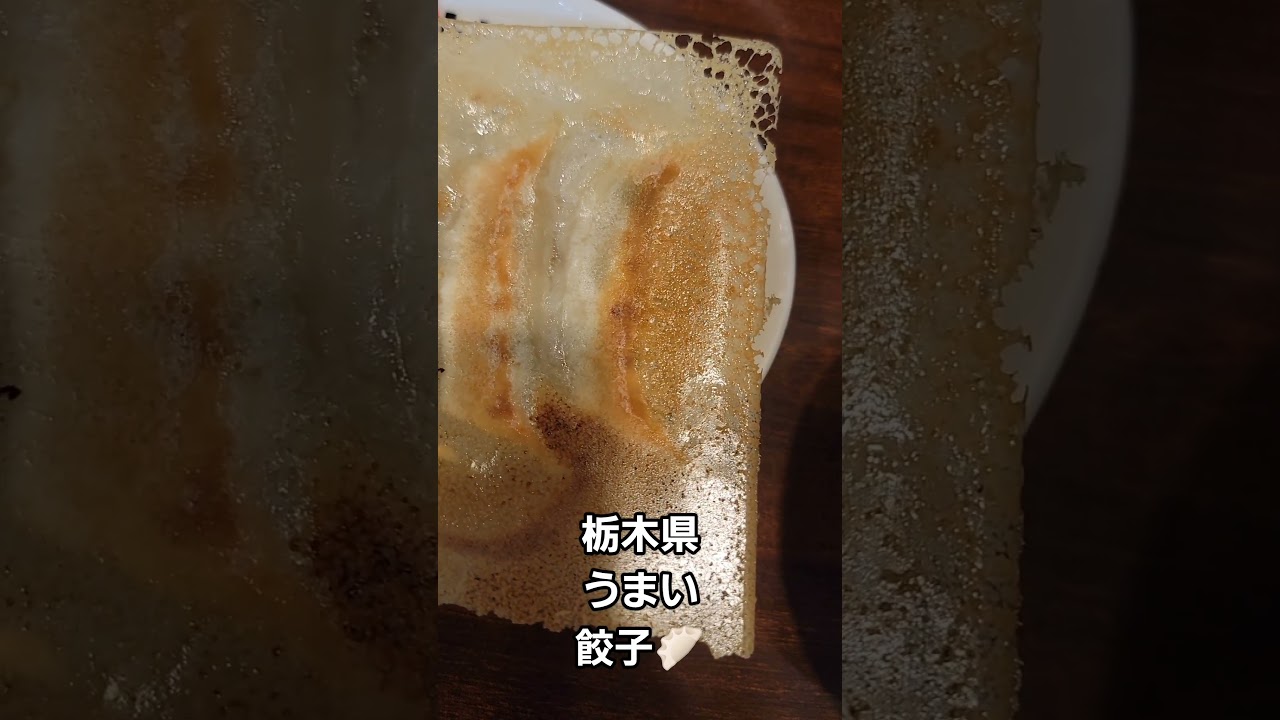 栃木県 うますぎた羽根つき餃子🥟