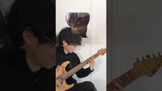 猫ミーマー達に憧れたギタリスト #猫ミーム