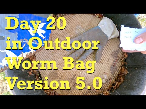 Outdoor worm bag "v 5" fed on 20th day in service - vermicompost