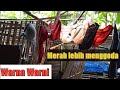 Jemuran Wanita CD BH