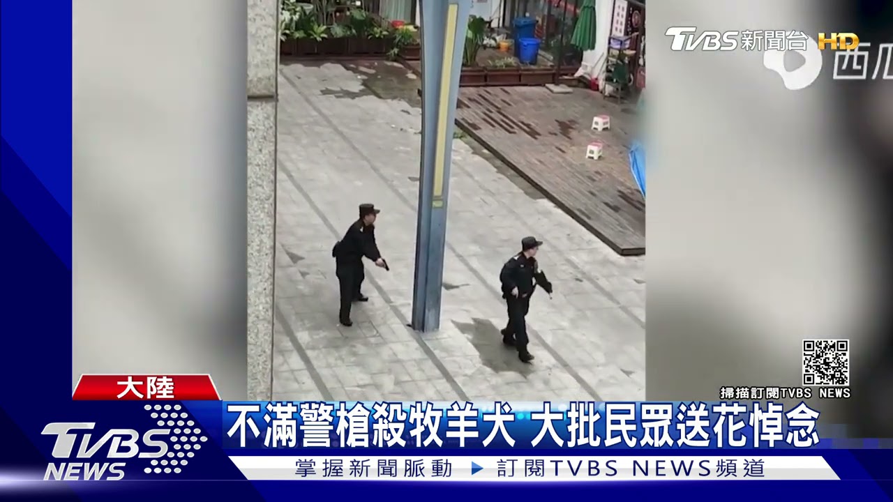 陸警當街開8槍擊斃牧羊犬 挨批狠心掀爭議