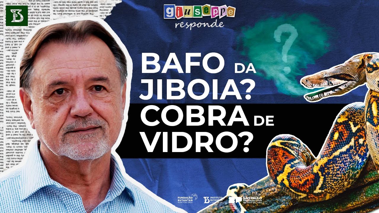 Bafo da Jiboia? Cobra de Vidro? Giuseppe Responde #6