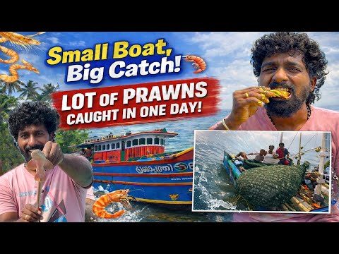 👉 Wow 🤩 Small Boat, Big Catch! | Lot of Prawns Caught in One Day 🦐