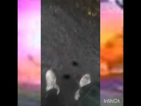 The Storm At AM (prod.Alxboiiz)