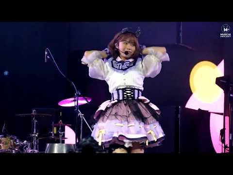 Myujikki - Mimigumo - 24.11.2019 @ Cat Expo 6